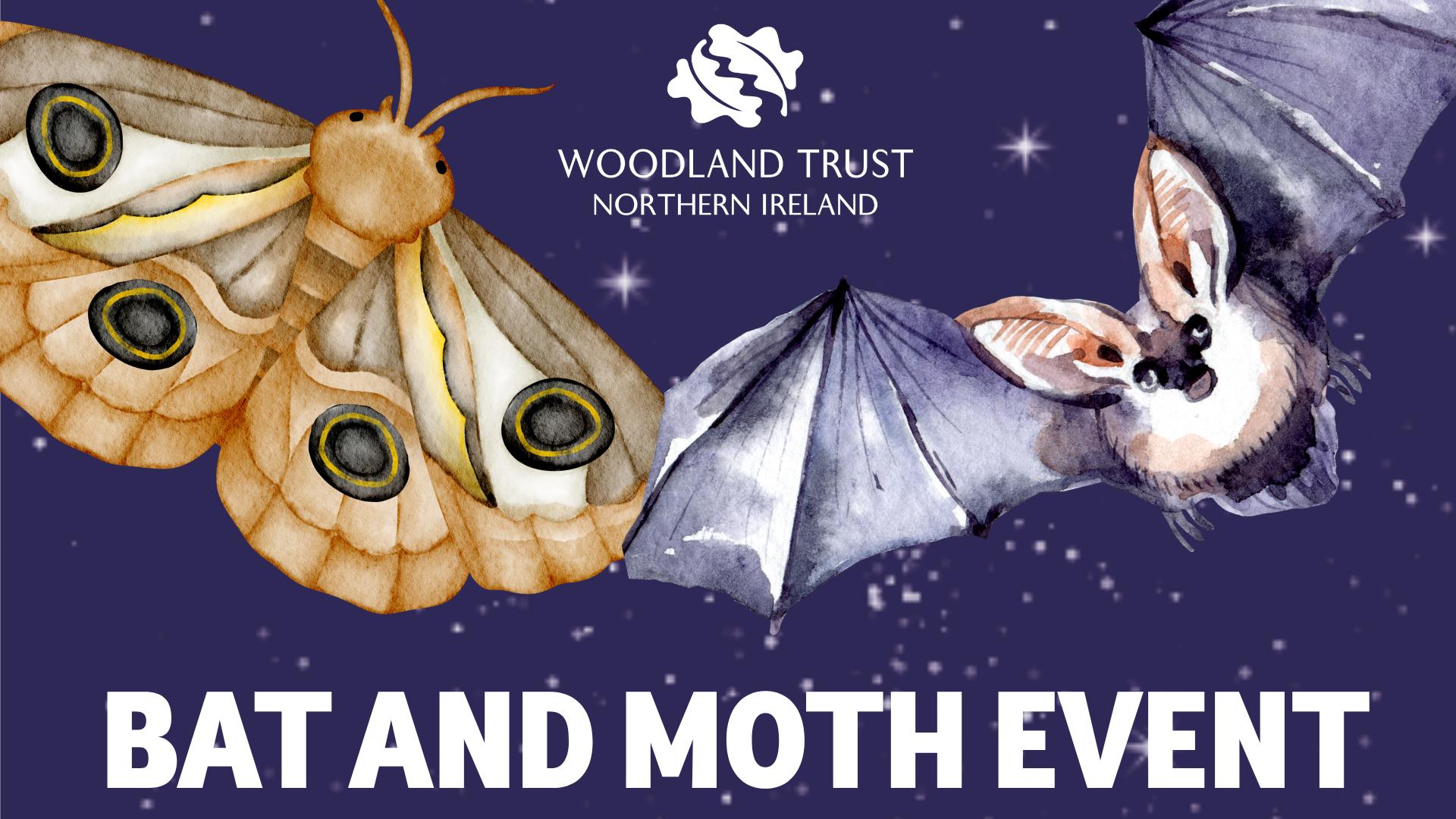 Bat and Moth Event