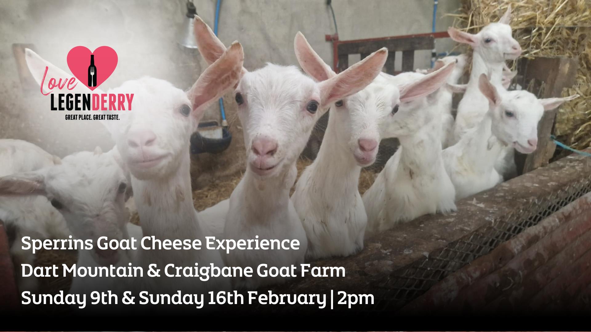 Sperrins Goat Cheese Experience