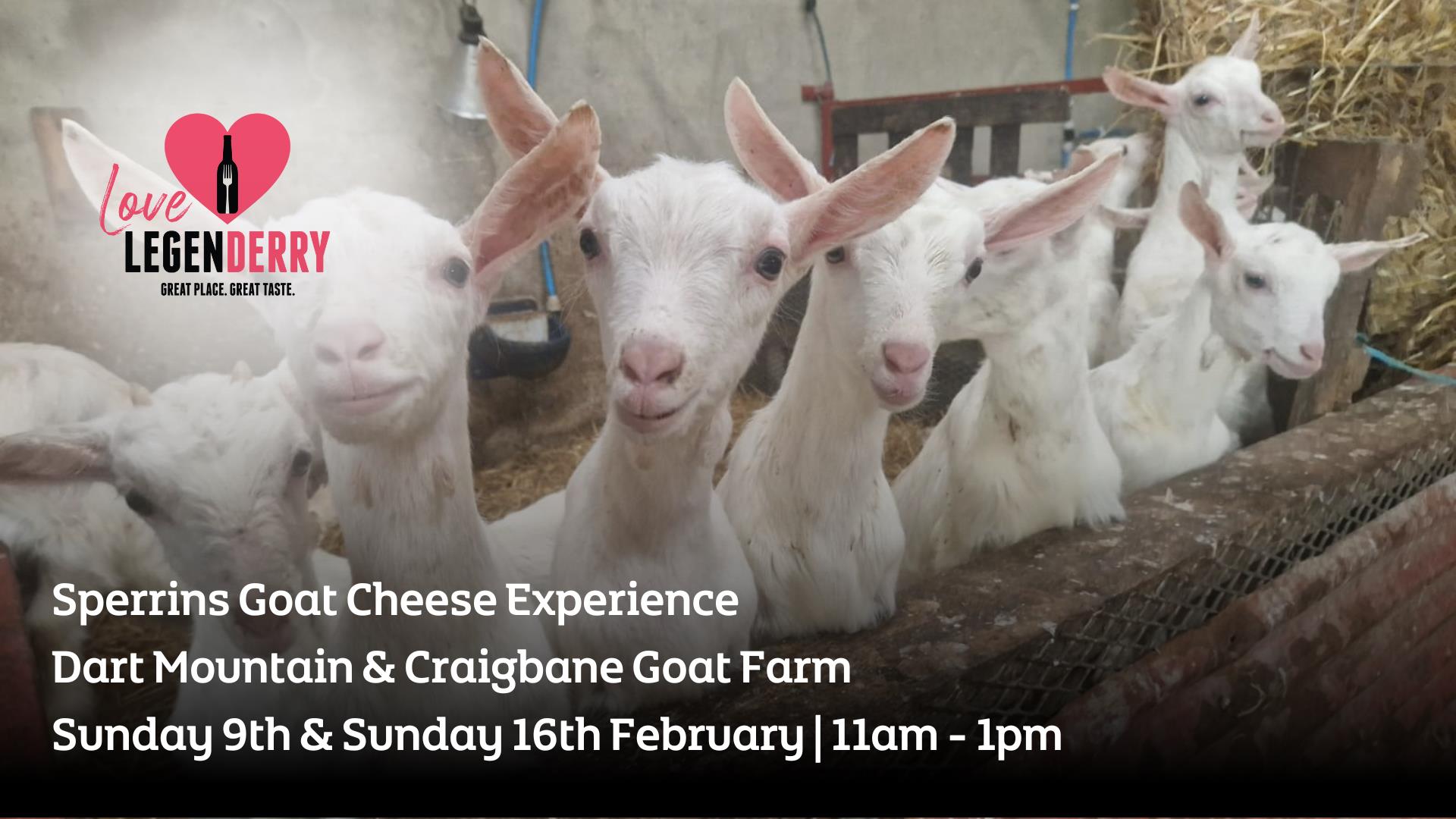 Sperrins Goat Cheese Experience Love LegenDerry Advert