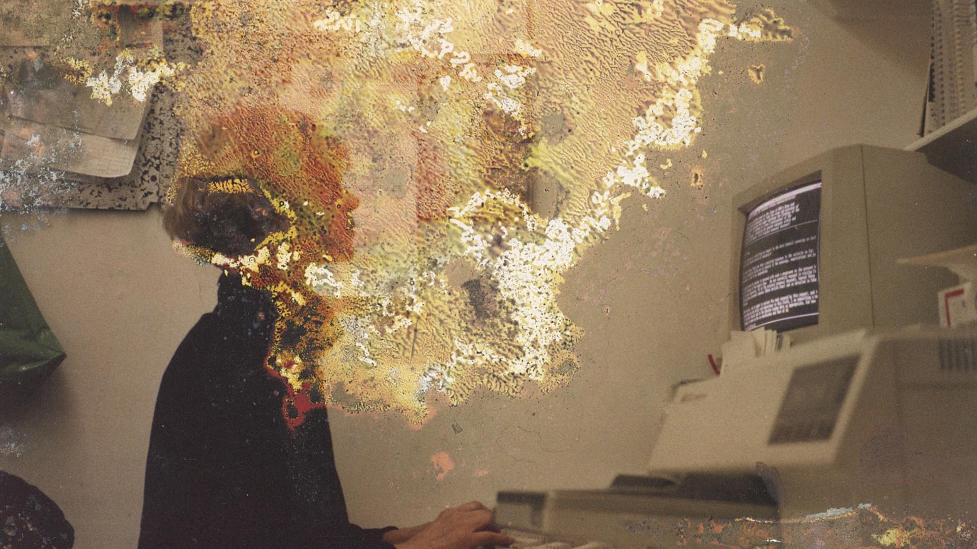 Photo: Acid Burn. Courtesy Estate of Barbara Steveni.