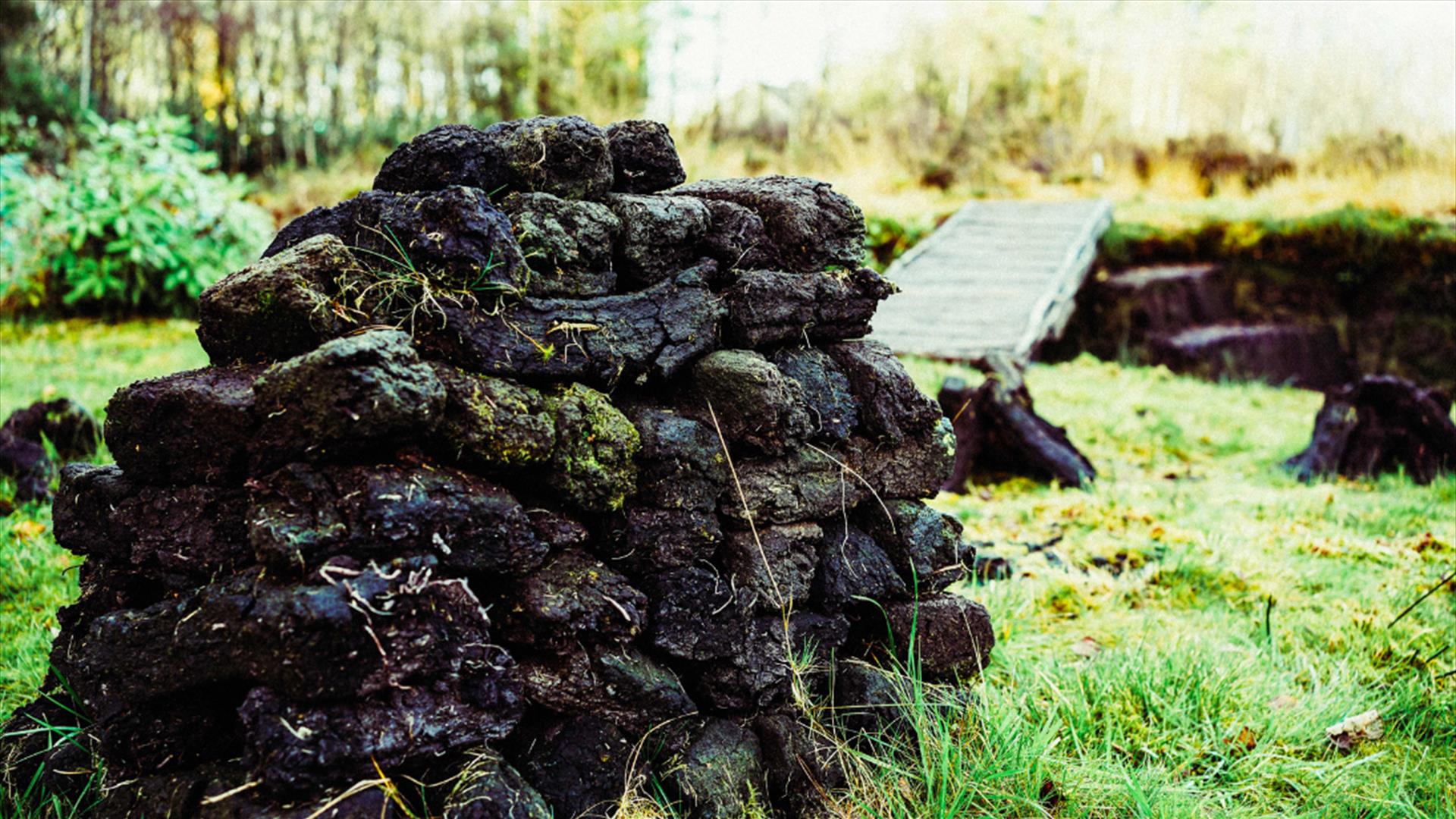Get involved with bogland conservation at the Ulster American Folk Park.