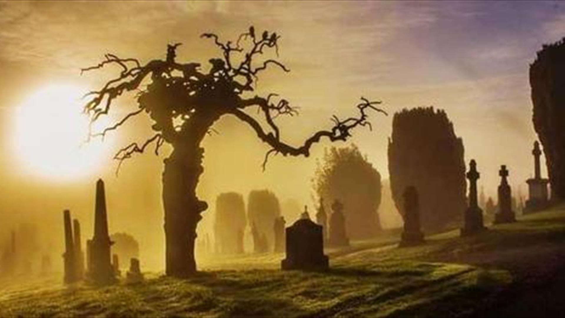 Cemetery Tours
