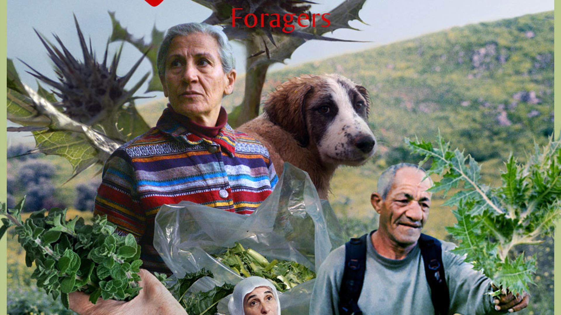 Foragers - Instagram Poster