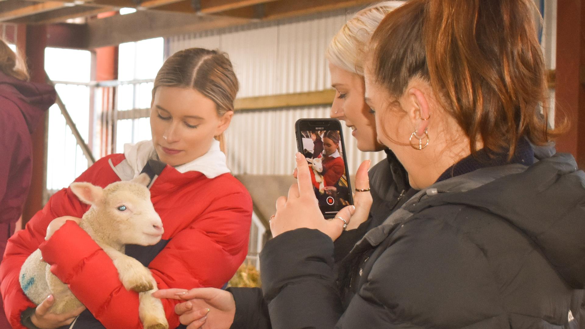 Image of a girl holding a lamb and getting her picture taken