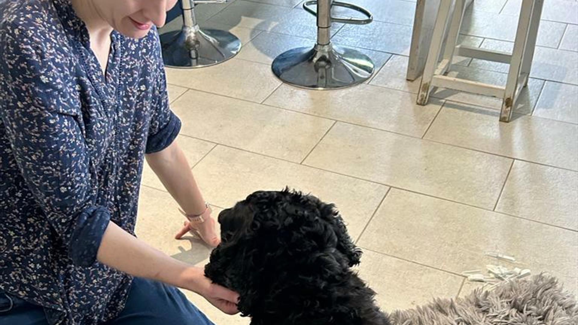 A woman kneels on the ground administering acupuncture to a small black dog beside her.