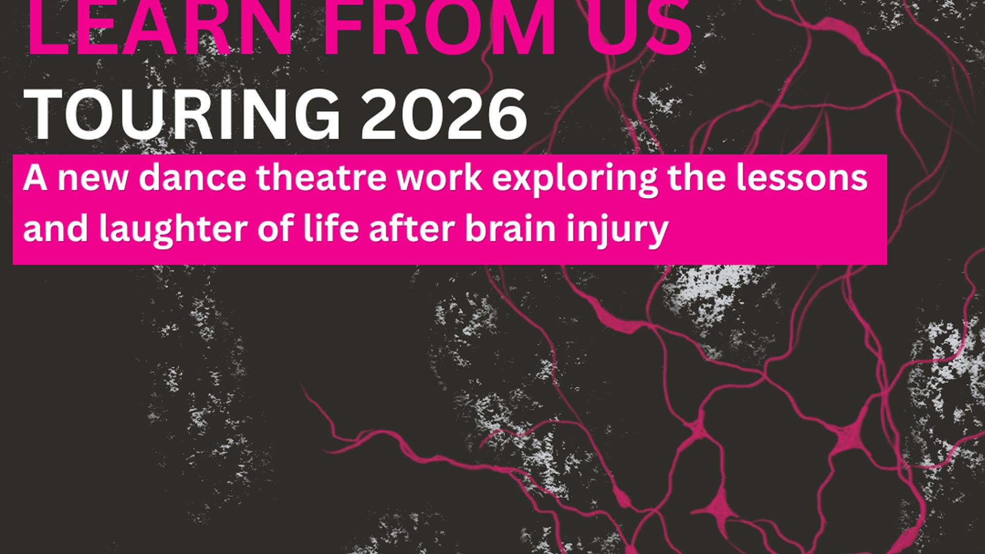 Learn From Us event poster