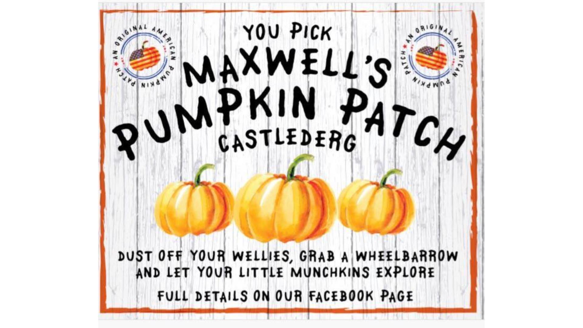 Maxwells Pumpkin Patch, Castlederg