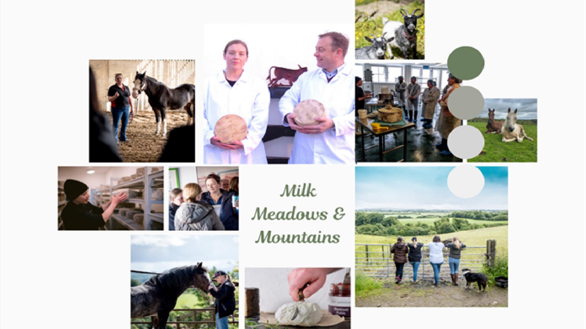 milk meadows and mountains
