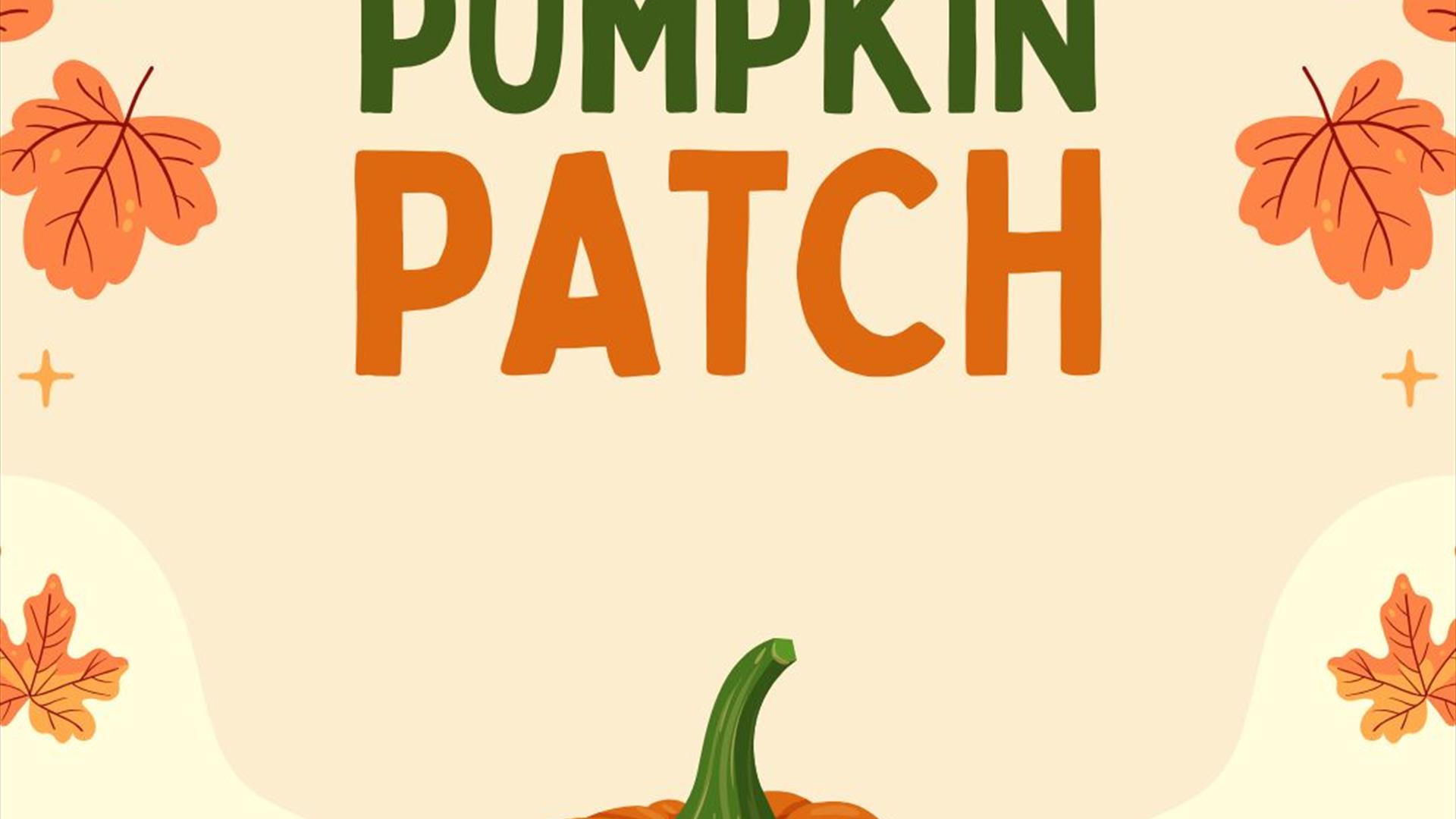 Fulton's Pumpkin Patch & Inside spooky trail