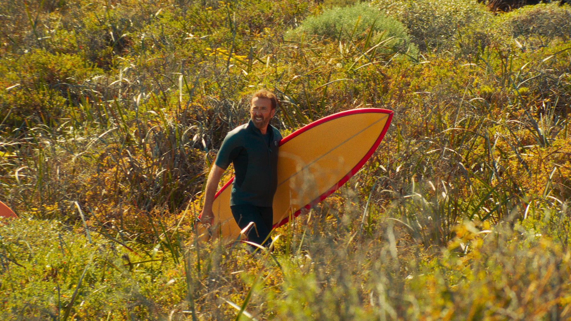 The surfer, picture of Nicolas cage with a surf board