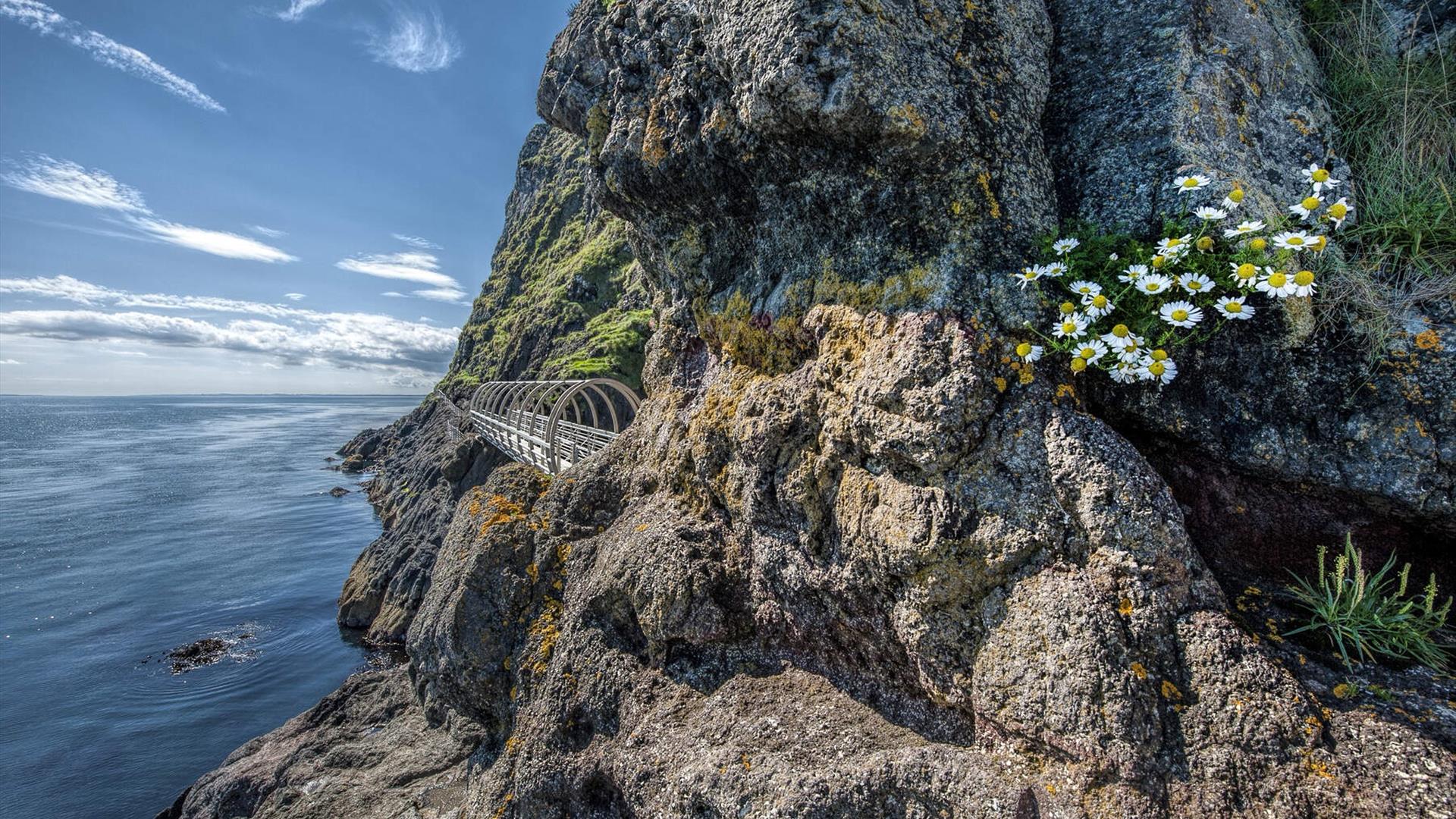 A view of the tubular bridge with flowers on the rock face and the ocean beyond.