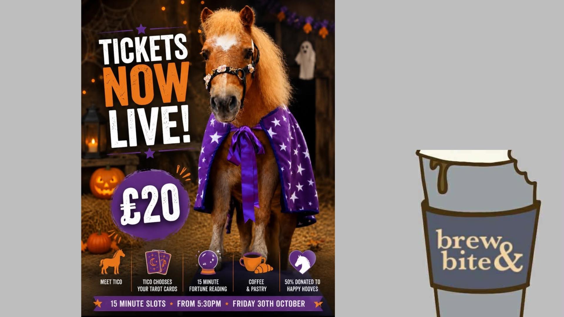 Halloween evening with Happy Hooves