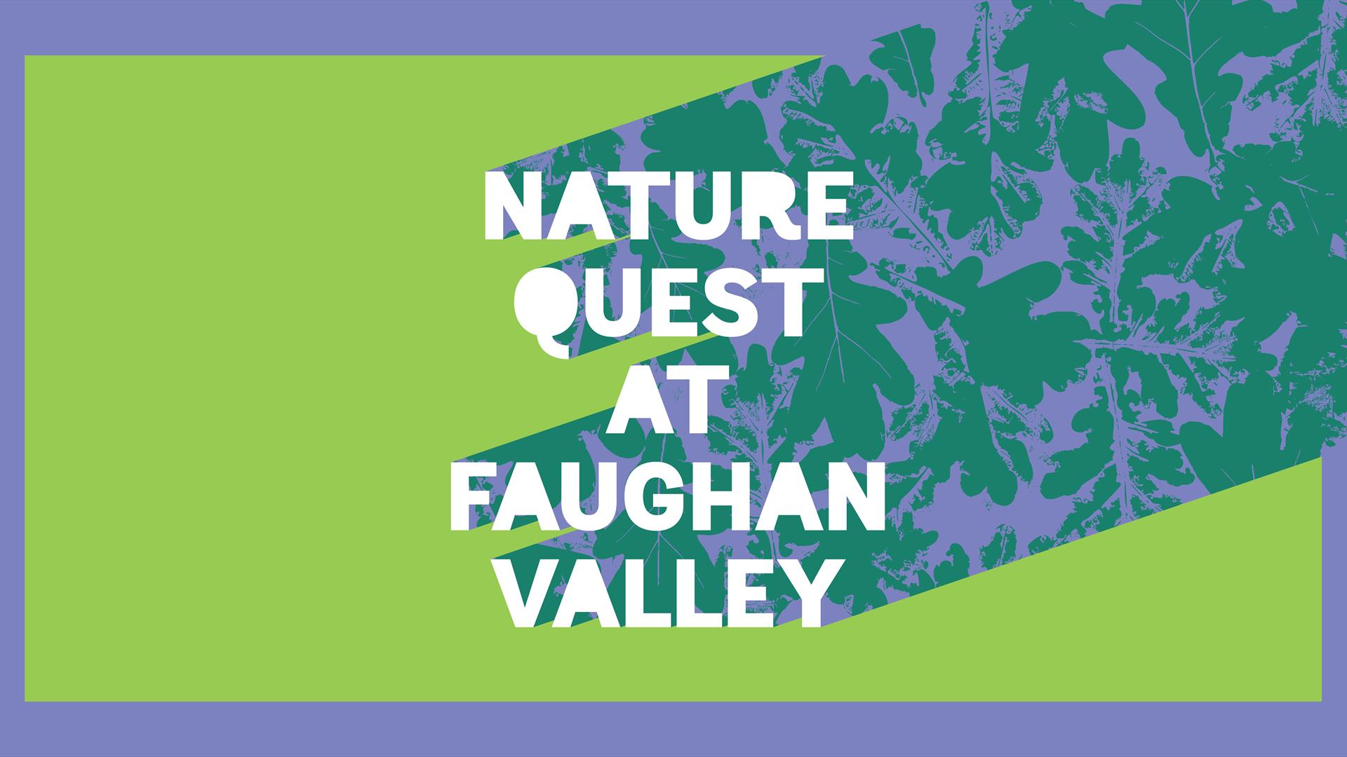 Nature Quest at Faughan Valley