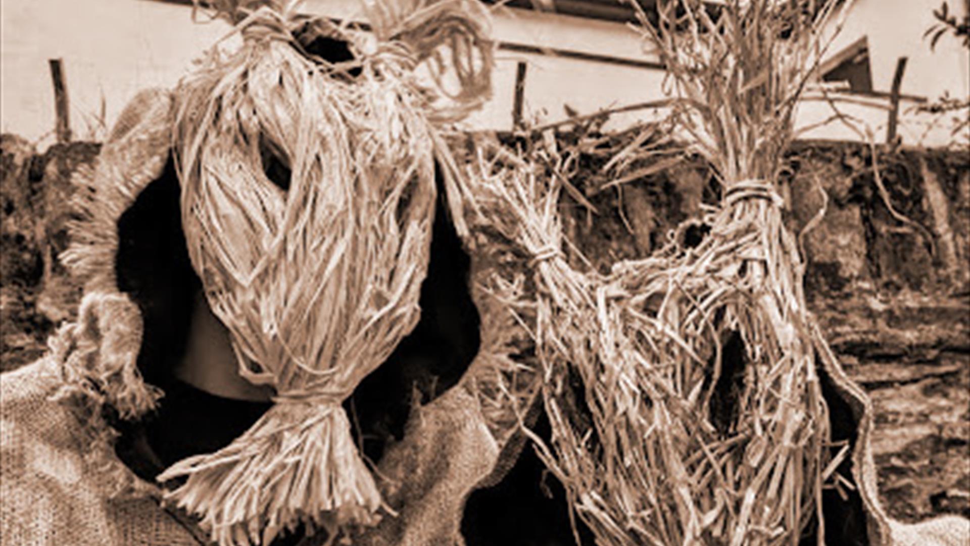 Samhain Masks