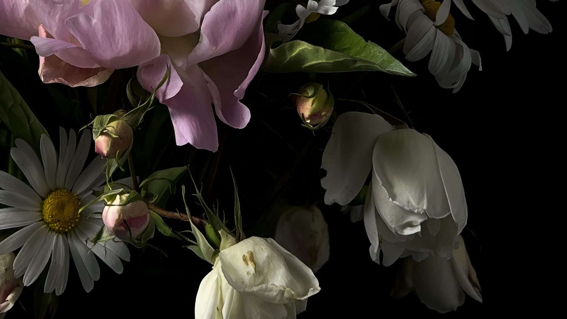 A moodily-lit photograph of white and pink flowers on a deep black background.