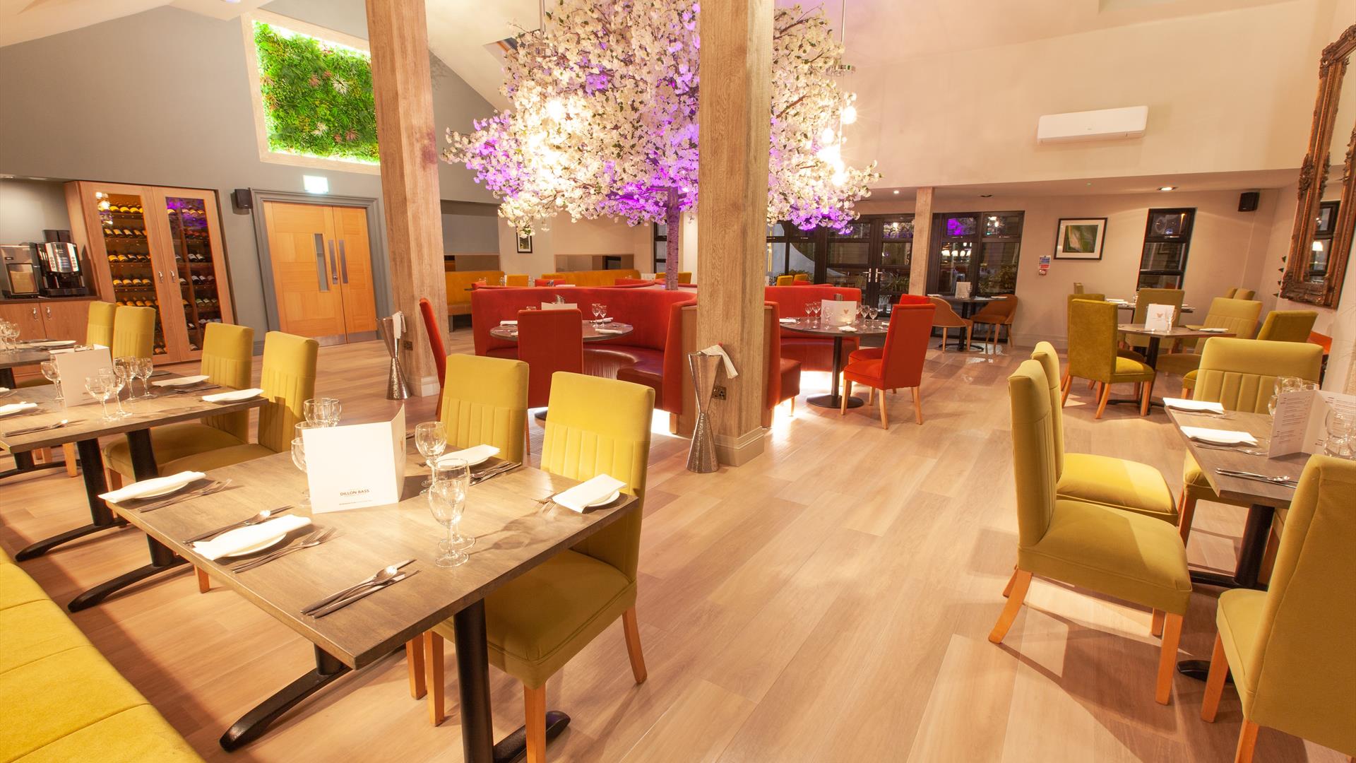 This is a picture of 68 Clooney Restaurant. The focal point is a featured pink blossom tree.