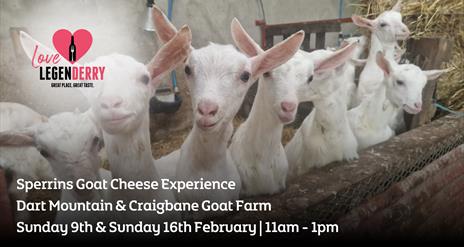 Sperrins Goat Cheese Experience Love LegenDerry Advert