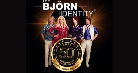 Promotional image for 'The Bjorn Identity' event