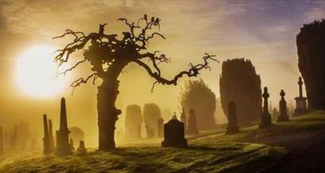 Cemetery Tours