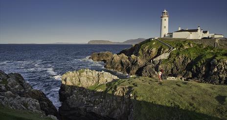 Sea Safari and Marine Heritage Boat Trip