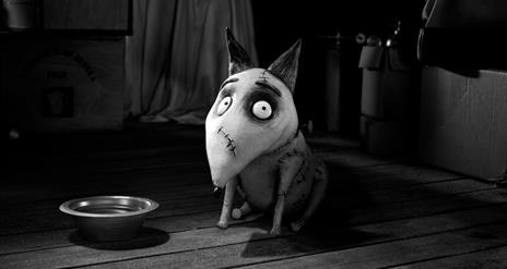 Frankenweenie sitting