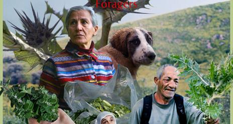 Foragers - Instagram Poster