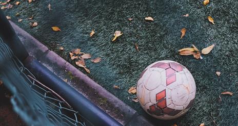 Football in autumn leaves