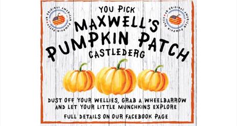 Maxwells Pumpkin Patch, Castlederg