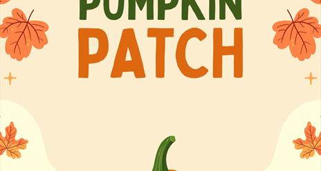Fulton's Pumpkin Patch & Inside spooky trail