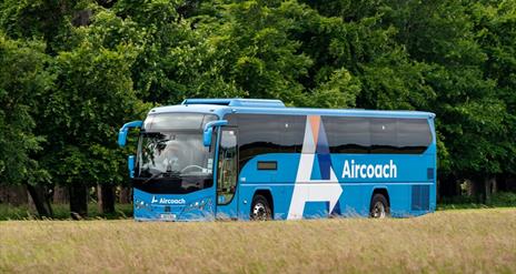 Image of blue bus driving past trees