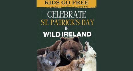 Wild Ireland St. Patrick’s Day promotion poster. Features a dark green background with shamrock patterns, bold gold and white text stating 'Kids Go Fr