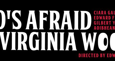 Lifford Players in association with Trasnu Theatre: Who's Afraid of Virgina Wolff