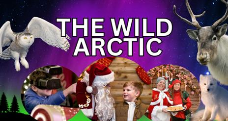 Santa with Elves and young boy