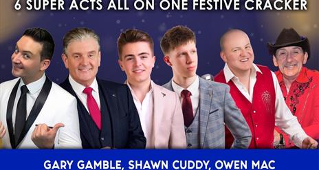 Christmas Country with the stars