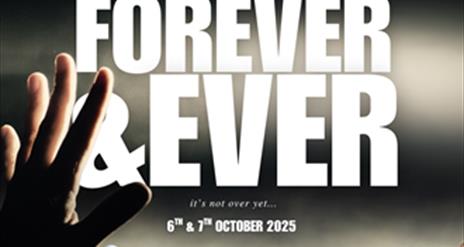promotional poster for Forever & Ever