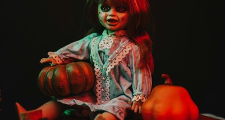 Baby Big Top