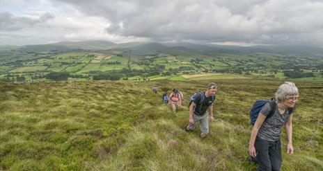 Sperrins and Killeter Walking Festival:  Easy: Foraging your path to Health’-  Balix Boardwalk and Loop (6km)