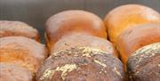 Fresh bread at The Bakery Ebrington.