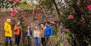 Exploring the walled garden