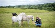 Woman in field with pony's