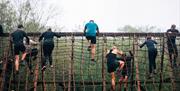 runners climbing