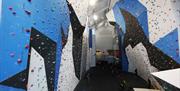 Image of the Climbing Wall at Foyle Arena