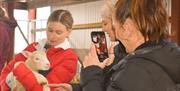 Image of a girl holding a lamb and getting her picture taken