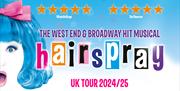 Hairspray the musical artwork