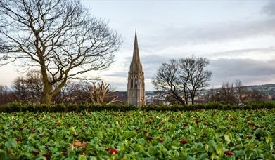 Brooke Park in Spring, photo by Dip Dab Media
