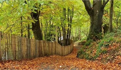 Image of Swan Park, Buncrana in the Autumn