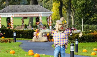 Scarecrow at the Roe Valley Pumpkin Patch