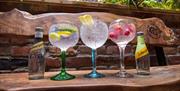 Selection of gin & tonic