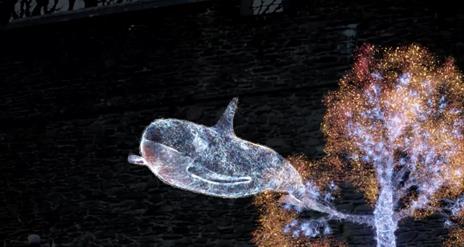 This is an image of a whale - Moby Dick -projected onto the Derry City Walls.
