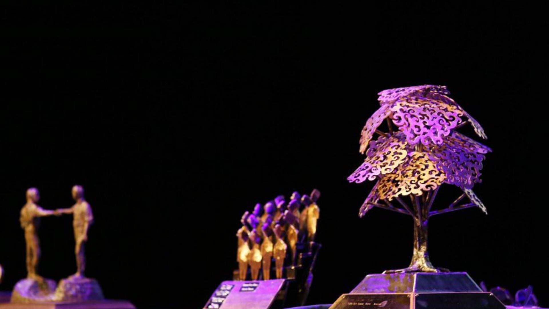 Image of the prestigious Oak Tree of Derry International Competition Trophy along with additional awards